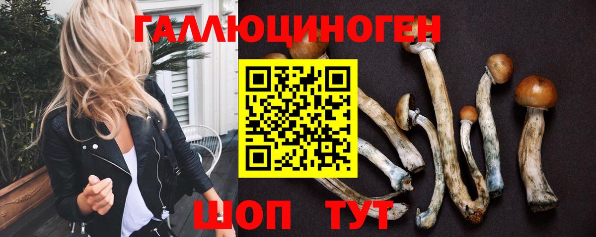 Камень-на-Оби  Псилоцибиновые грибы MAGIC MUSHROOMS  Вход с VPN 