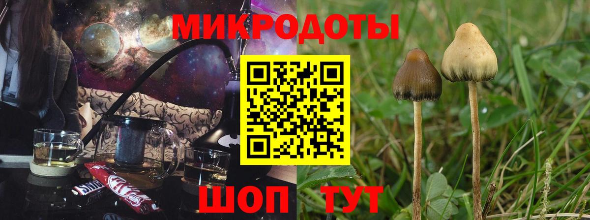 Псилоцибиновые грибы Magic Shrooms Камень-на-Оби
